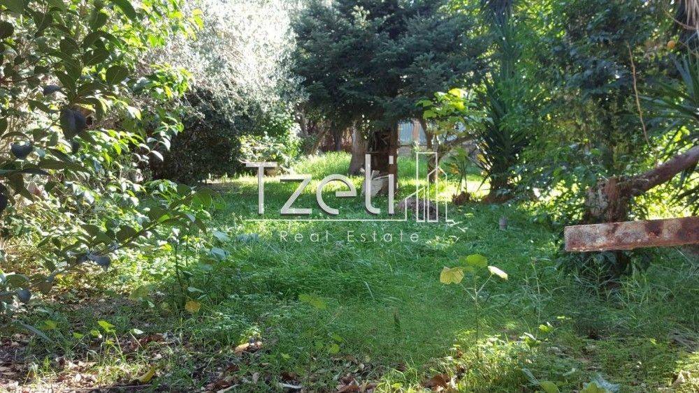 Άποψη οικοπέδου