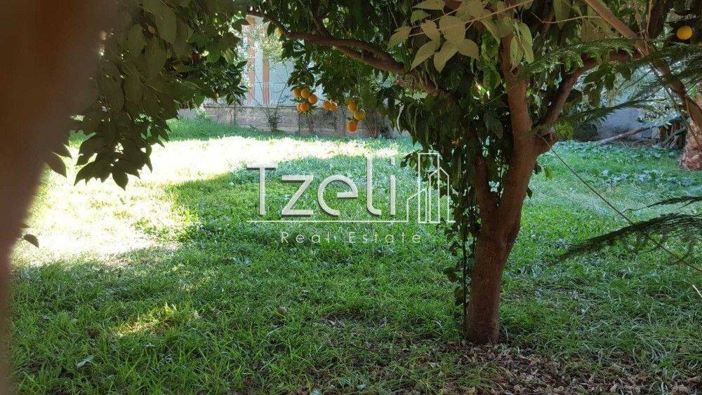 Άποψη οικοπέδου