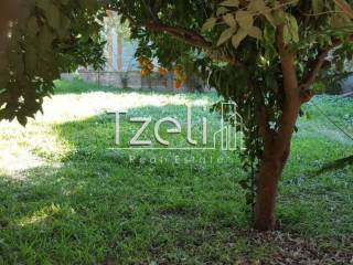 Άποψη οικοπέδου