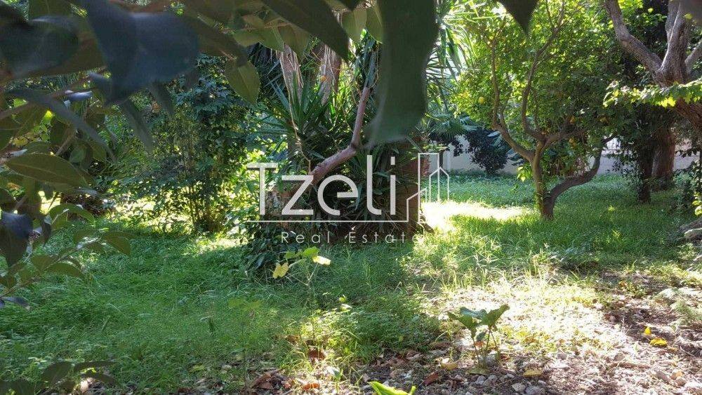 Άποψη οικοπέδου