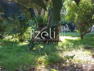 Άποψη οικοπέδου