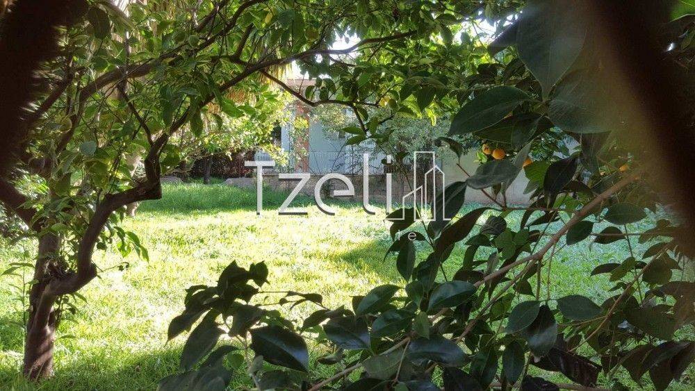 Άποψη οικοπέδου