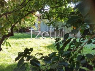 Άποψη οικοπέδου