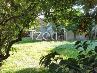 Άποψη οικοπέδου