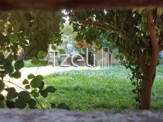 Άποψη οικοπέδου