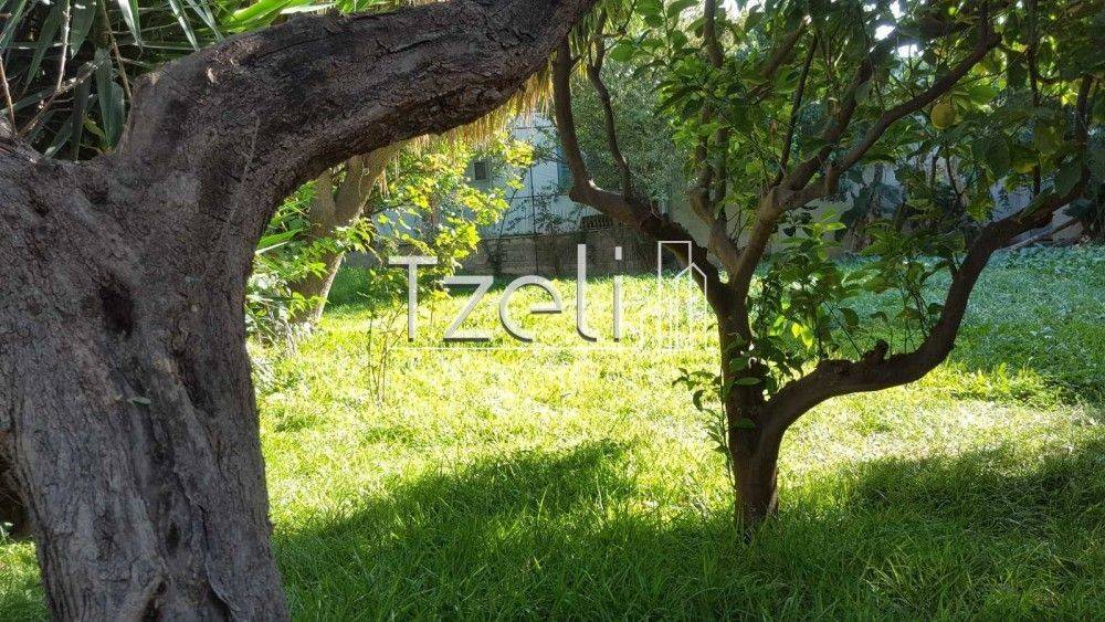 Άποψη οικοπέδου