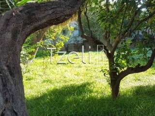 Άποψη οικοπέδου