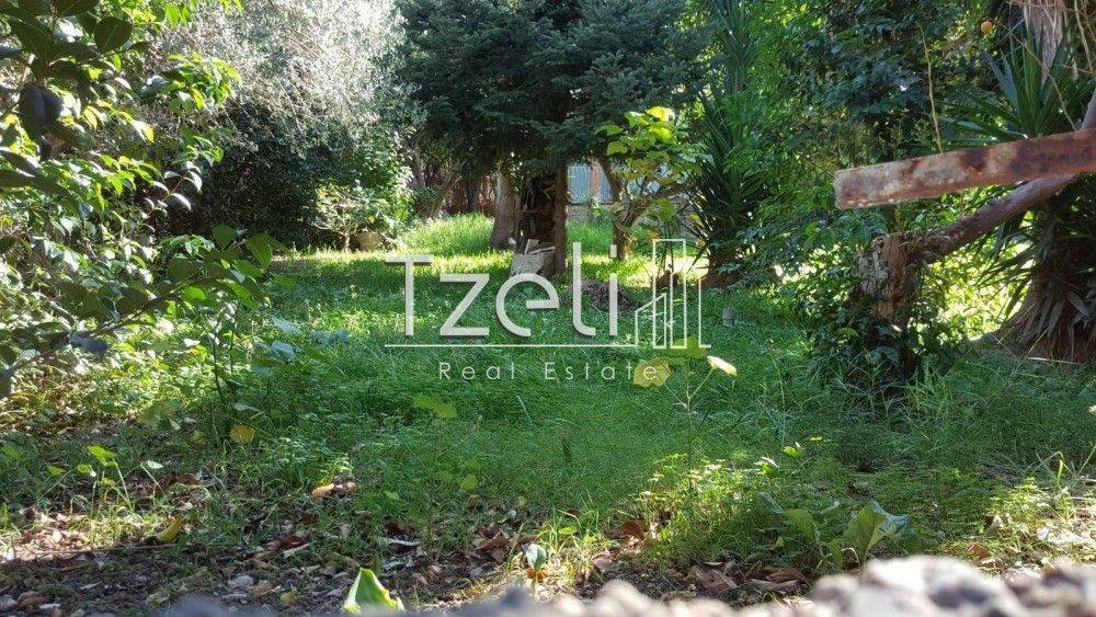 Άποψη οικοπέδου