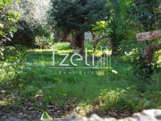 Άποψη οικοπέδου