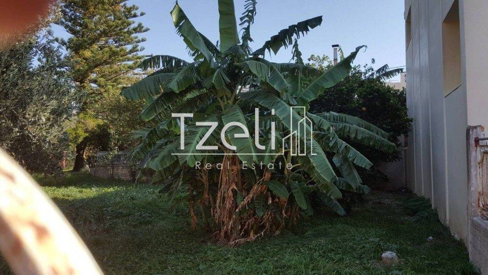 Άποψη οικοπέδου