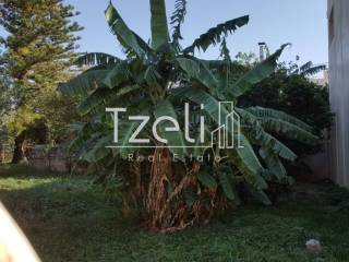 Άποψη οικοπέδου