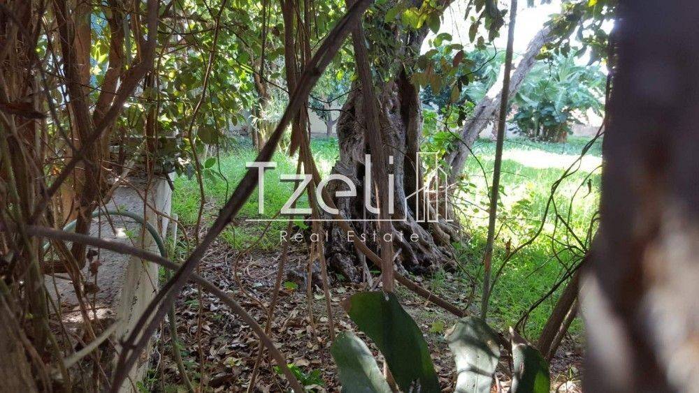 Άποψη οικοπέδου