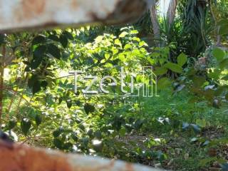 Άποψη οικοπέδου