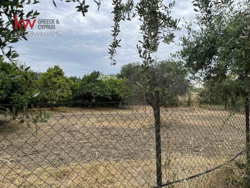 Εξωτερικοι χώροι