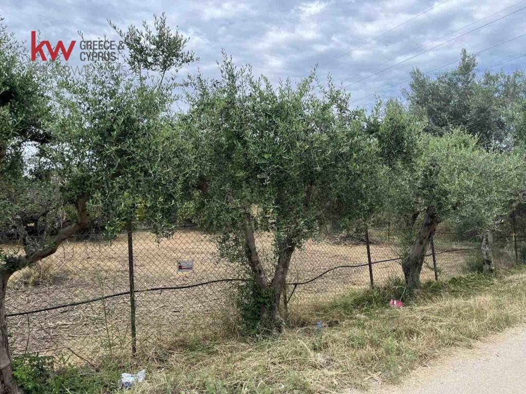 Εξωτερικοι χώροι