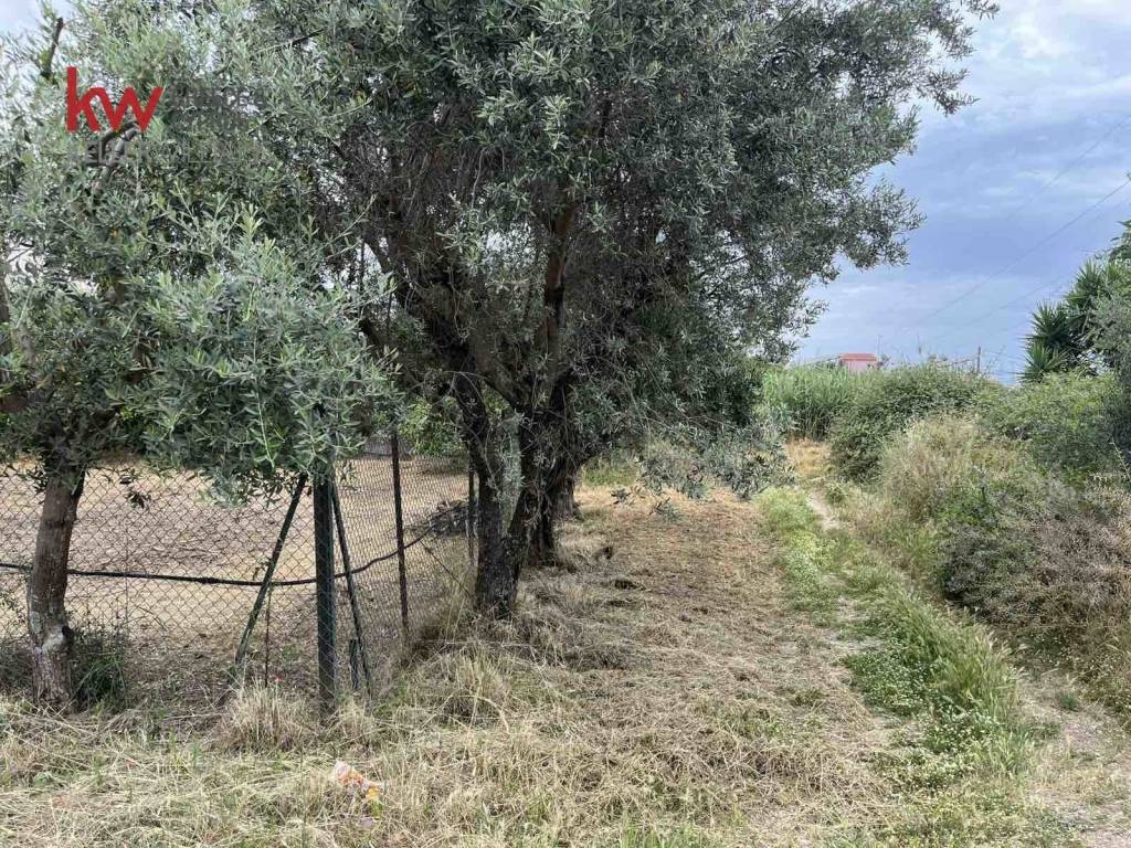 Εξωτερικοι χώροι