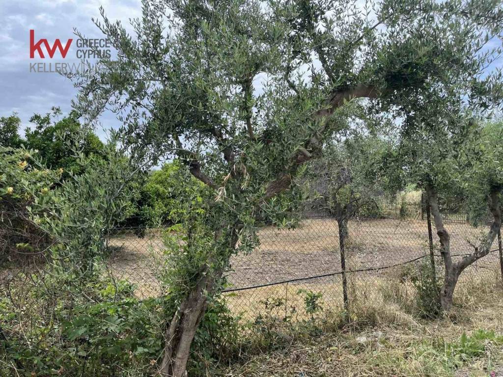 Εξωτερικοι χώροι