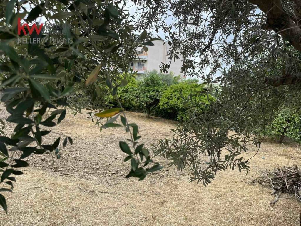 Εξωτερικοι χώροι