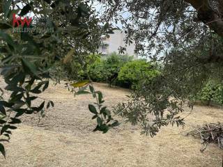 Εξωτερικοι χώροι