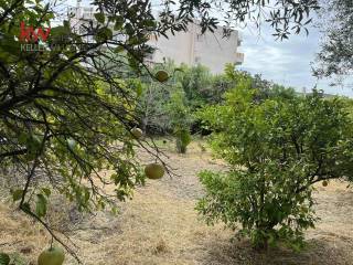 Εξωτερικοι χώροι