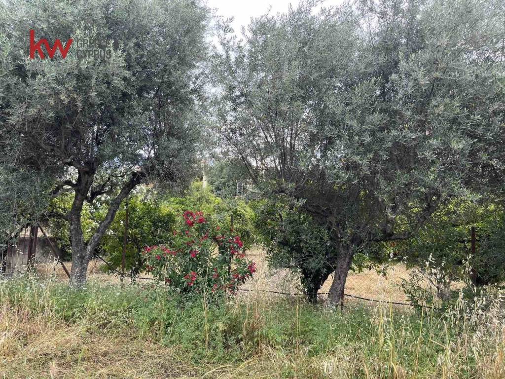 Εξωτερικοι χώροι