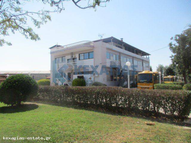 ΕΞΩΤΕΡΙΚΗ ΟΨΗ