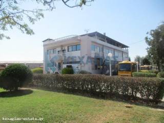 ΕΞΩΤΕΡΙΚΗ ΟΨΗ