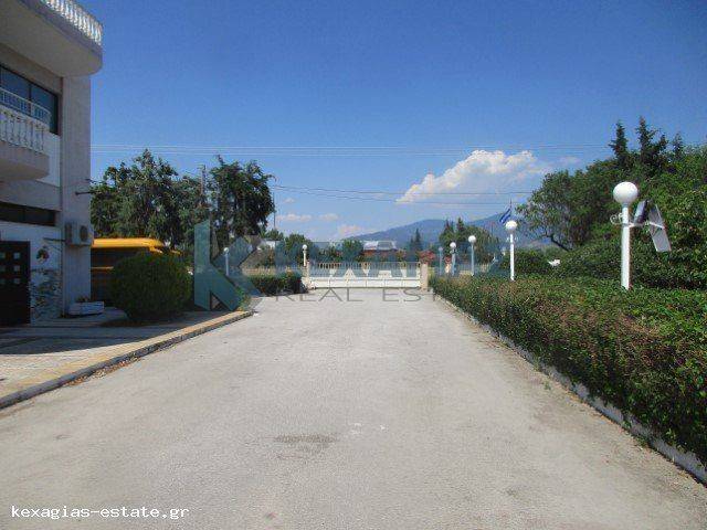 ΠΕΡΙΜΕΤΡΙΚΟΣ ΠΡΟΑΥΛΙΟΣ ΧΩΡΟΣ