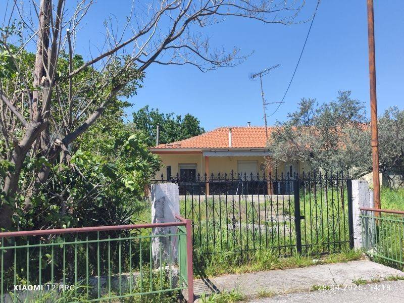 Εξωτερικός χώρος