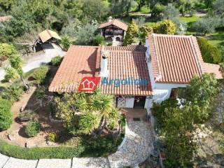 Ύπαρξη ανθρώπου