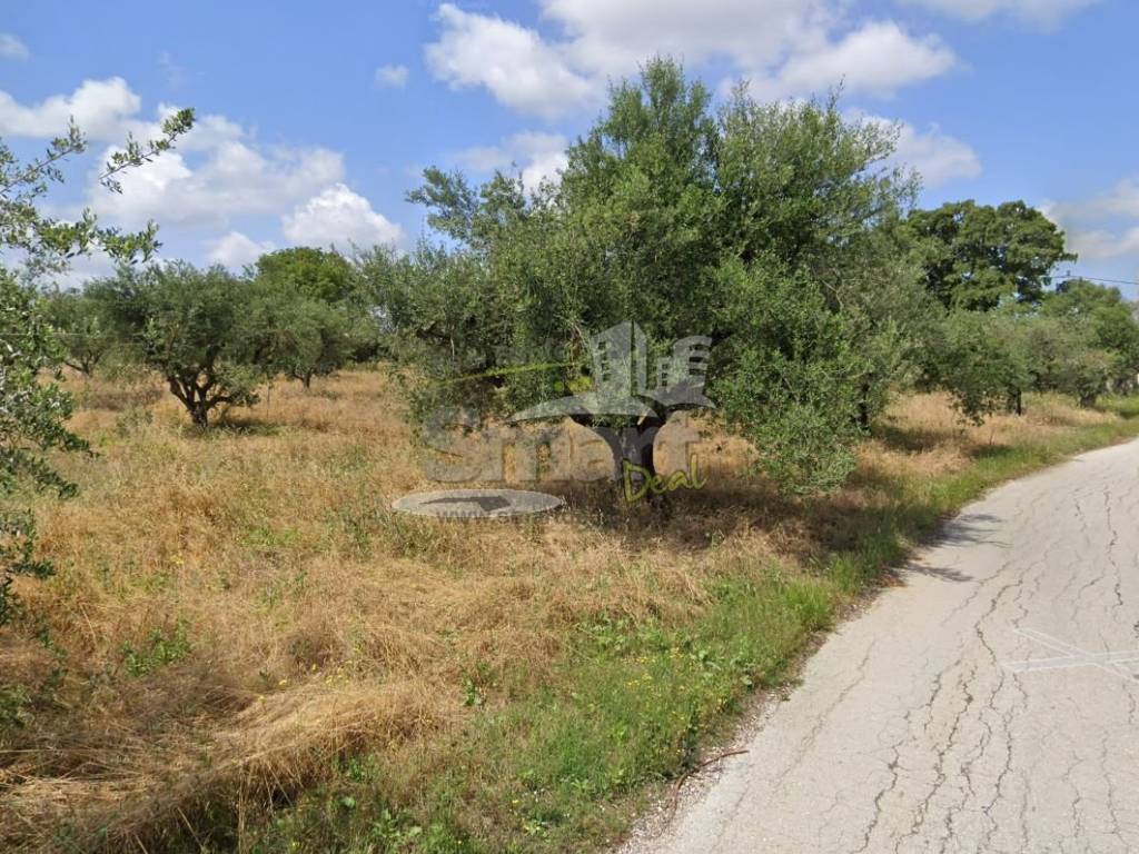 Εξωτερικοι χώροι