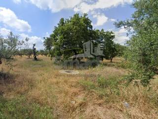 Εξωτερικοι χώροι