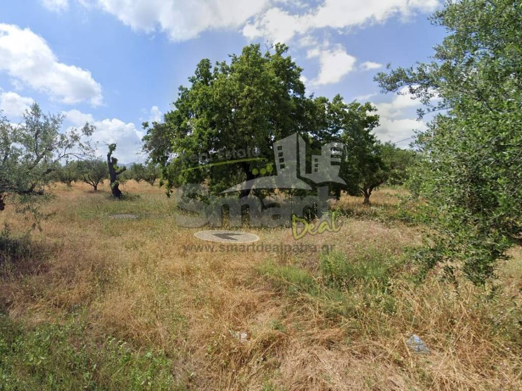 Εξωτερικοι χώροι