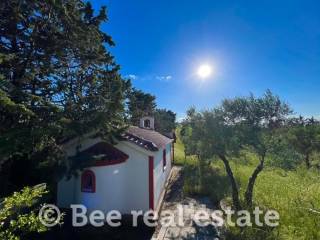 Άποψη εξωτερικού χώρου