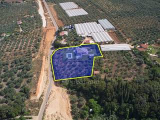 Ύπαρξη ανθρώπου