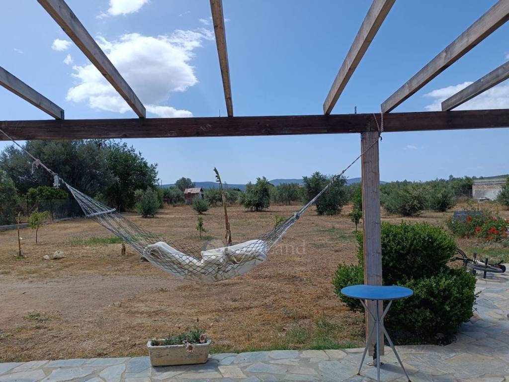 Ύπαρξη ανθρώπου