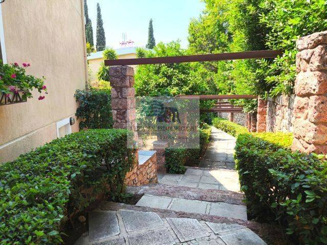 VIEW FROM THE SURROUNDING AREA OF THE COMPLEX