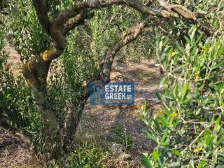 ★ Κτίζει 750μ ★ Ιδανικό για μονοκατοικία ★ Γωνιακό οικόπεδο