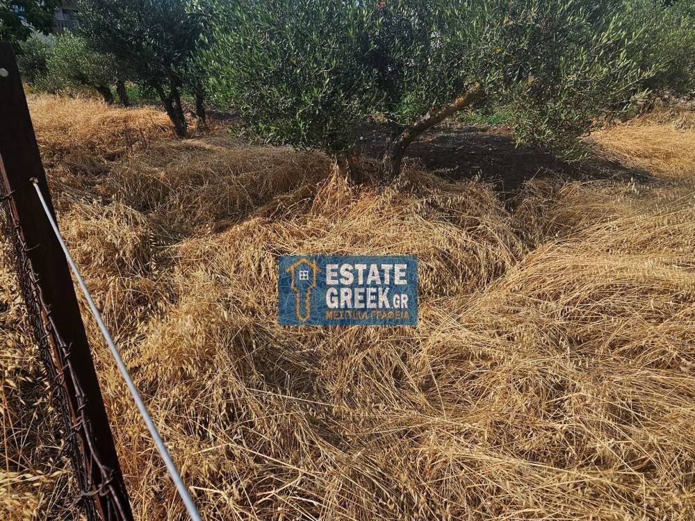 ★ Κτίζει 750μ ★ Ιδανικό για μονοκατοικία ★ Γωνιακό οικόπεδο