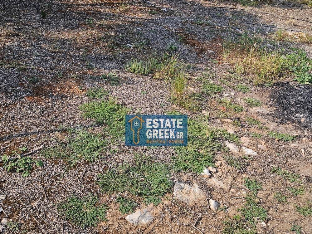 ★ Κτίζει 750μ ★ Ιδανικό για μονοκατοικία ★ Γωνιακό οικόπεδο