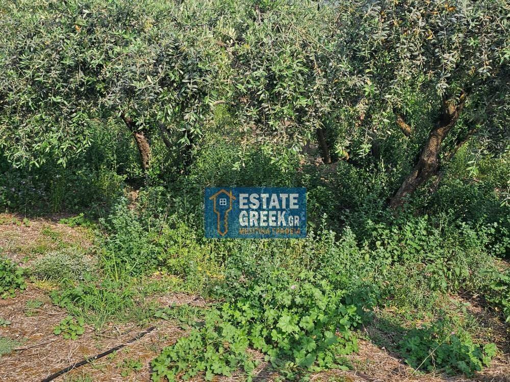 ★ Κτίζει 750μ ★ Ιδανικό για μονοκατοικία ★ Γωνιακό οικόπεδο