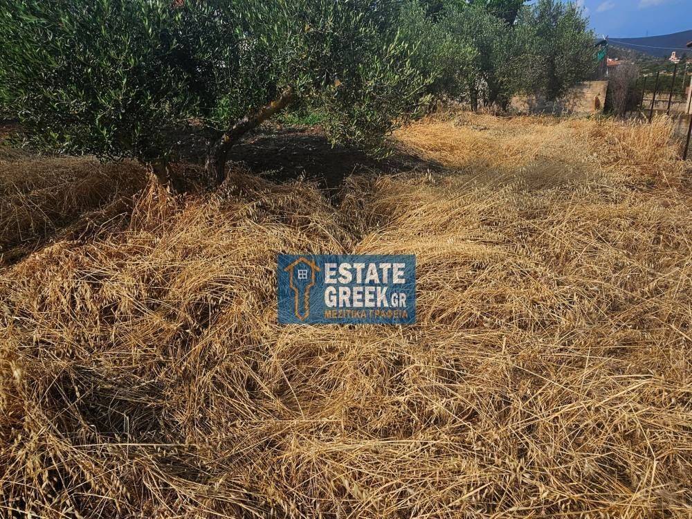 ★ Κτίζει 750μ ★ Ιδανικό για μονοκατοικία ★ Γωνιακό οικόπεδο