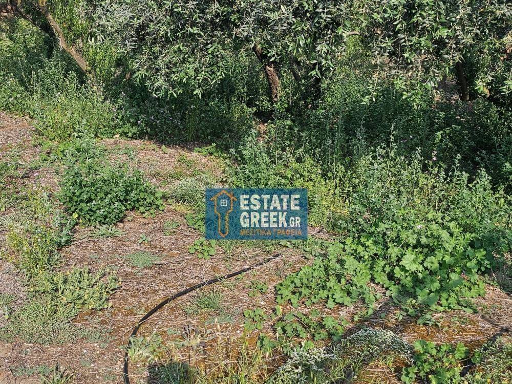 ★ Κτίζει 750μ ★ Ιδανικό για μονοκατοικία ★ Γωνιακό οικόπεδο