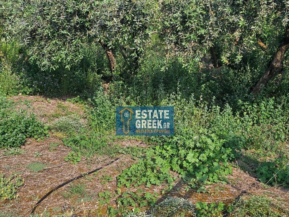 ★ Κτίζει 750μ ★ Ιδανικό για μονοκατοικία ★ Γωνιακό οικόπεδο