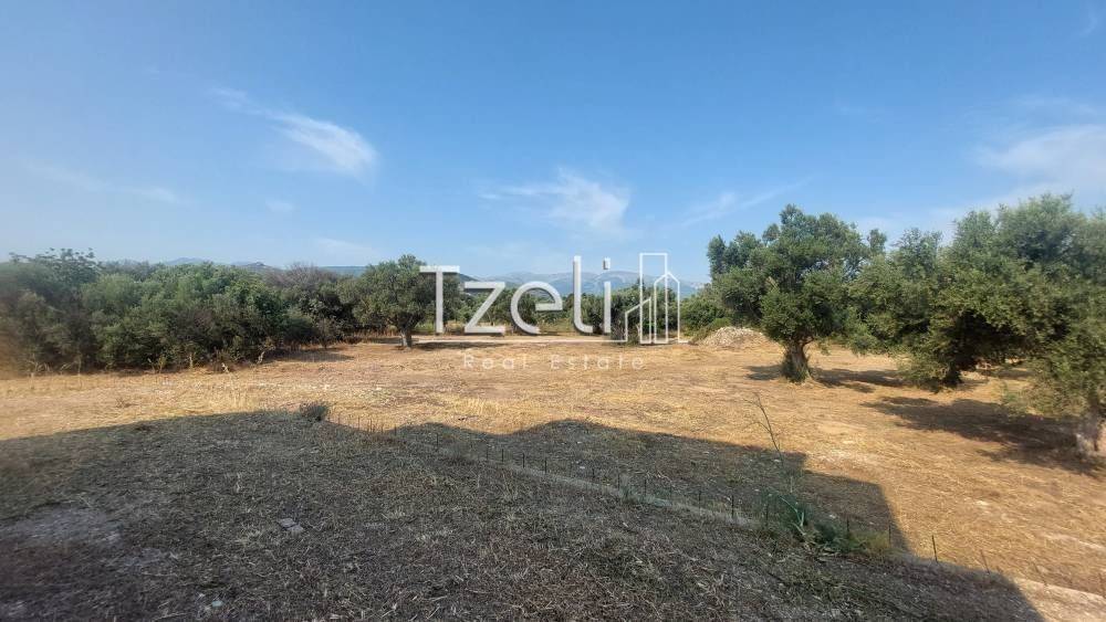 Άποψη οικοπέδου