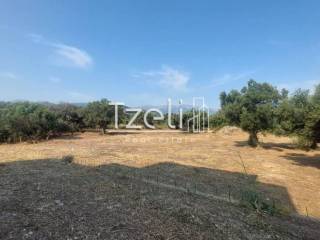 Άποψη οικοπέδου