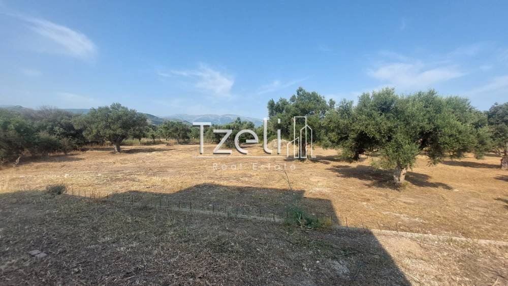 Άποψη οικοπέδου