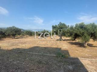 Άποψη οικοπέδου