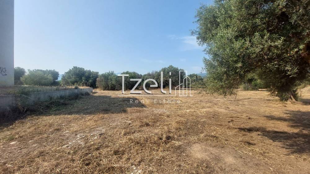 Άποψη οικοπέδου