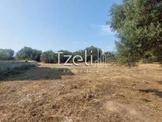 Άποψη οικοπέδου